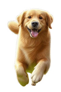 free dog png, transparent dog images, dog png download - Free Dog PNG Image