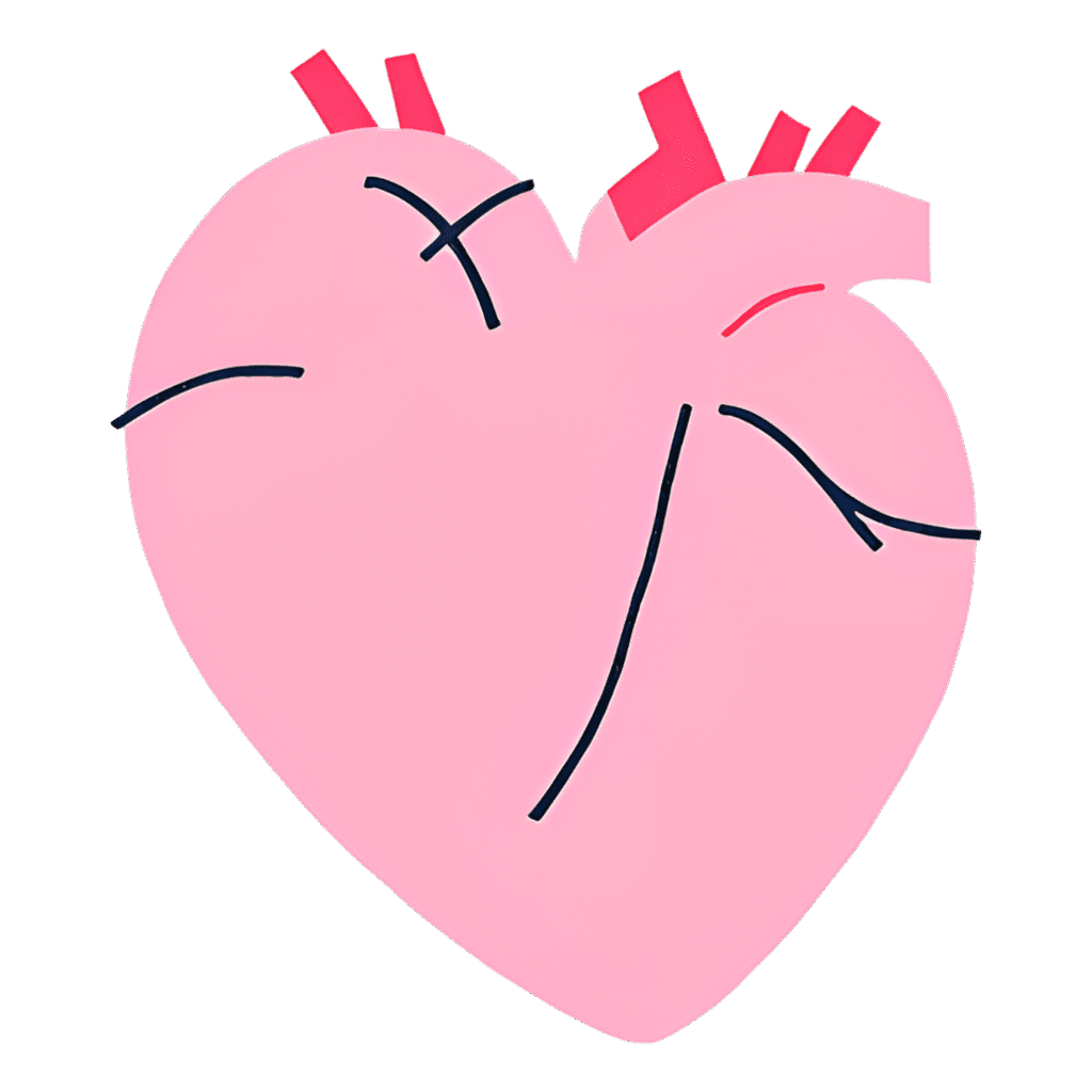 Pink Human Heart PNG Clipart – Free Download 1 Pink Human Heart PNG Clipart – Free Download